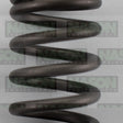 Valve Spring HOLDEN C20SE C22SE X20SE X22SE 160-1578 - SBI