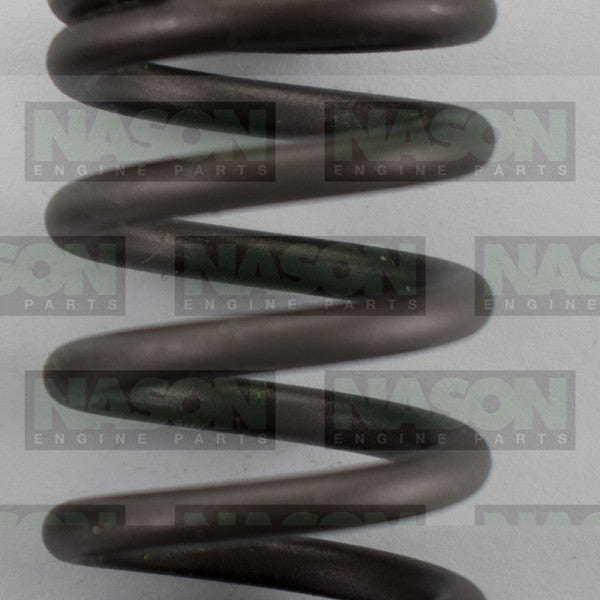 Valve Spring HOLDEN C20SE C22SE X20SE X22SE 160-1578 - SBI