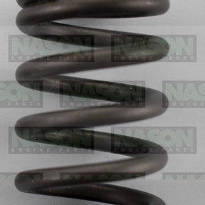 Valve Spring HOLDEN C20SE C22SE X20SE X22SE 160-1578 - SBI
