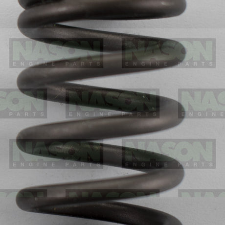 Valve Spring HOLDEN C20SE C22SE X20SE X22SE 160-1578 - SBI