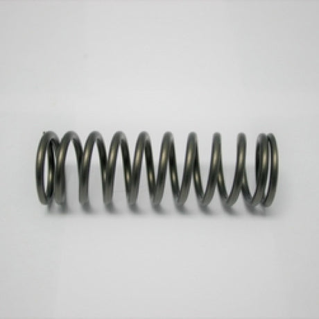 Valve Spring HINO J05 J07 J08 INNER SPRING 160-1698 - SBI
