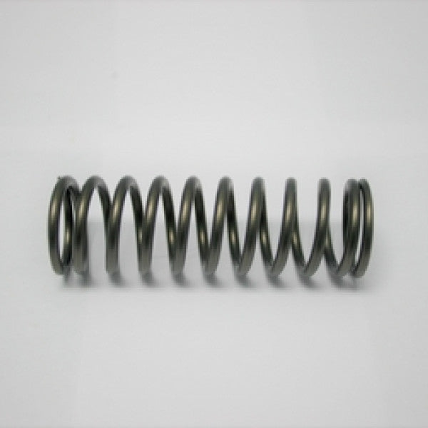 Valve Spring HINO J05 J07 J08 INNER SPRING 160-1698 - SBI