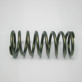 Valve Spring HINO J05 J07 J08 OUTER SPRING 160-1699 - SBI