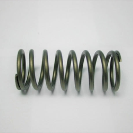 Valve Spring HINO J05 J07 J08 OUTER SPRING 160-1699 - SBI