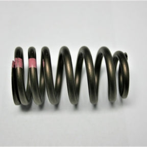 Valve Spring CHEV DURAMAX 6.6L V8 DIESEL 160-1701 - SBI