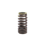 Valve Spring FORD 7.3L GODZILLA V8 160-1709 - SBI