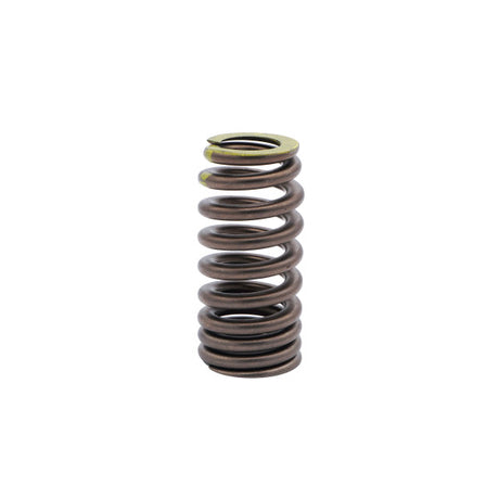 Valve Spring FORD 7.3L GODZILLA V8 160-1709 - SBI