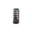 Valve Spring FORD 7.3L GODZILLA V8 EXH 160-1710 - SBI