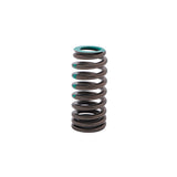 Valve Spring FORD 7.3L GODZILLA V8 EXH 160-1710 - SBI