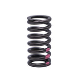Valve Spring VOLVO D16 160 - 1718 - SBI - Engine Valves & Springs - SBI