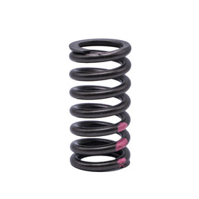 Valve Spring VOLVO D16 160-1718 - SBI