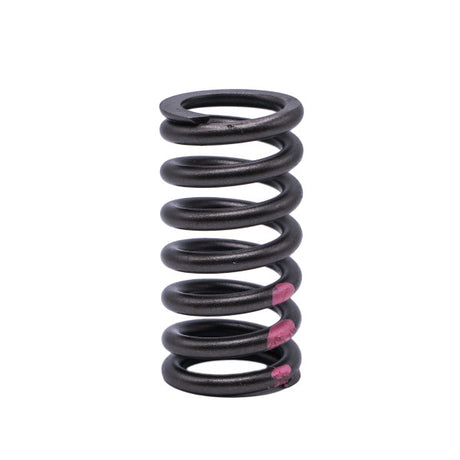 Valve Spring VOLVO D16 160-1718 - SBI
