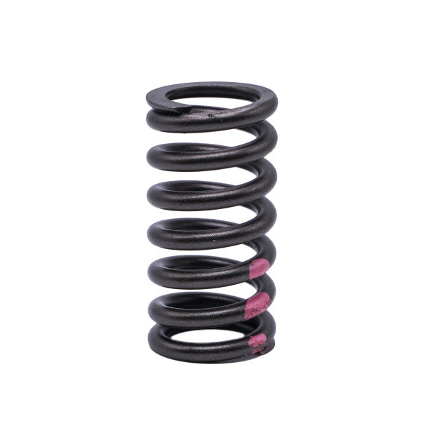 Valve Spring VOLVO D16 160-1718 - SBI