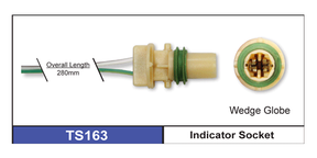 Socket TS163 - Nice Products | Universal Auto Spares