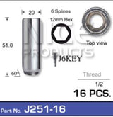 Chrome Nut Pack (16) J251-16 - Nice Products | Universal Auto Spares