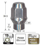 Chrome Nuts pk100 G119-100 - Nice Products | Universal Auto Spares
