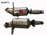 Diesel Particulate Filter RPF294 VW WCDPF75 - Cooper