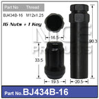 Lock Nuts Black (16) BJ434B-16 - Nice Products | Universal Auto Spares