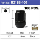 Black Nuts pk100 B219B-100 - Nice Products | Universal Auto Spares