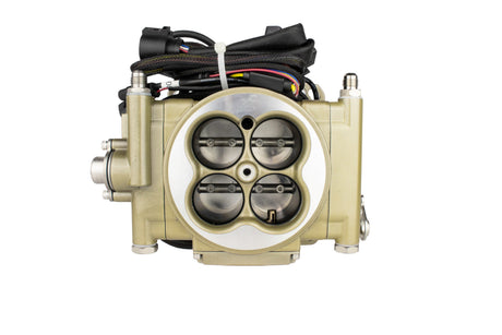 Easy Street 200-600HP Self Tuning EFI System Gold FI30005 - FiTech