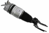 Air Suspension Strut 319 403 - SACHS