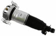 Air Suspension Strut 319 404 - SACHS