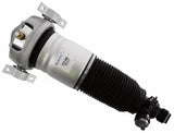 Air Suspension Strut 319 405 - SACHS