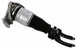 Air Suspension Strut 319 406 - SACHS