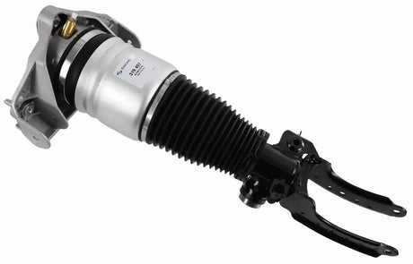 Air Suspension Strut 319 407 - SACHS