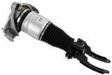 Air Suspension Strut 319 409 - SACHS