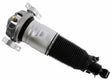 Air Suspension Strut 319 411 - SACHS