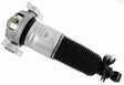 Air Suspension Strut 319 414 - SACHS