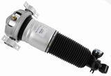 Air Suspension Strut 319 414 - SACHS