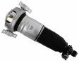 Air Suspension Strut 319 415 - SACHS