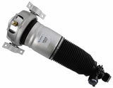 Air Suspension Strut 319 415 - SACHS