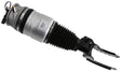 Air Suspension Strut 319 417 - SACHS