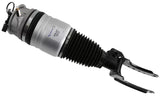 Air Suspension Strut 319 417 - SACHS