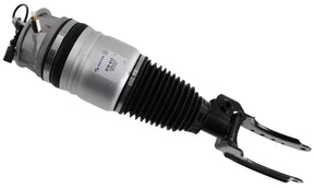 Air Suspension Strut 319 417 - SACHS