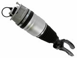 Air Suspension Strut 319 419 - SACHS