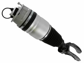 Air Suspension Strut 319 419 - SACHS