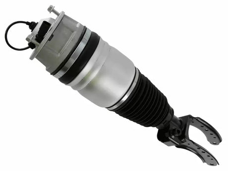 Air Suspension Strut 319 419 - SACHS