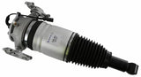 Air Suspension Strut 319 421 - SACHS