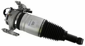 Air Suspension Strut 319 421 - SACHS