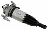 Air Suspension Strut 319 422 - SACHS