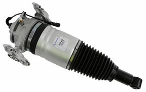 Air Suspension Strut 319 422 - SACHS