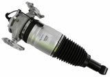 Air Suspension Strut 319 423 - SACHS