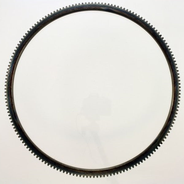 Flywheel Ring Gear FORD V8 FLYWHEEL RING GEAR 164 33-164N - ENGINE PRO