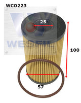 Oil Filter R2858P Jaguar/Landrover WCO223 - Cooper
