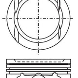 Piston & Pin Set HOLDEN F16D3 DOHC 16V 4P1194-STD - Nason
