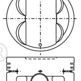 Piston & Pin Set TOYOTA 4AGE DISH TOP 20mm PIN 4P1217-0.50 - Nason